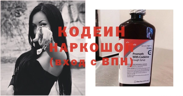 крисы Абаза