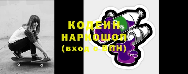 крисы Абаза