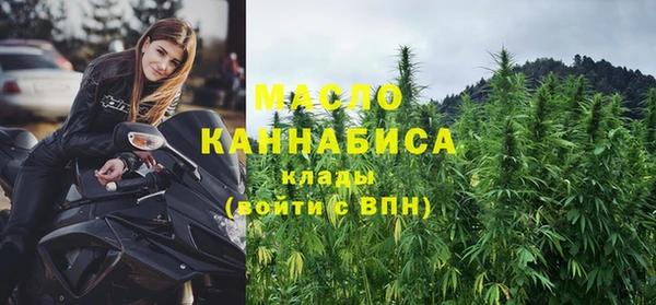 крисы Абаза