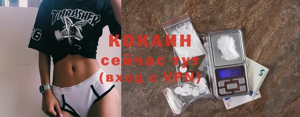 крисы Абаза