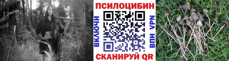 Псилоцибиновые грибы MAGIC MUSHROOMS  Зеленодольск 