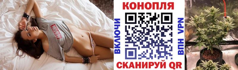 где продают наркотики  Зеленодольск  MEGA ссылка  МАРИХУАНА AK-47 